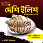 salted hilsha fish/নোনা ইলিশ (দেশি)