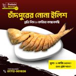 লইট্টা  শুটকি /loitta dried fish