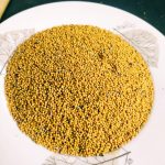 white mustard seeds/সাদা সরিষা