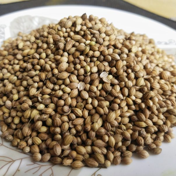 coriander/dhonia soj(ধনিয়া সজ)