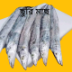 churi fish/knife fish/ছুরি মাছ