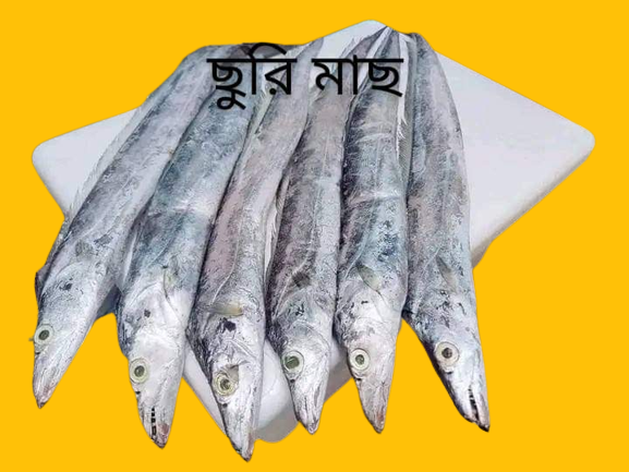 churi fish/knife fish/ছুরি মাছ